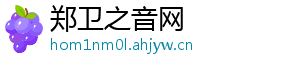 郑卫之音网
